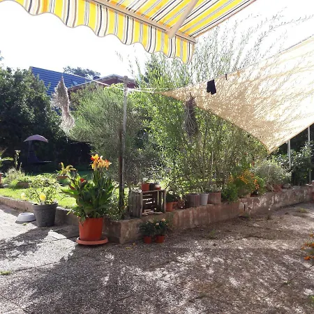 Apartment Lerchennest
